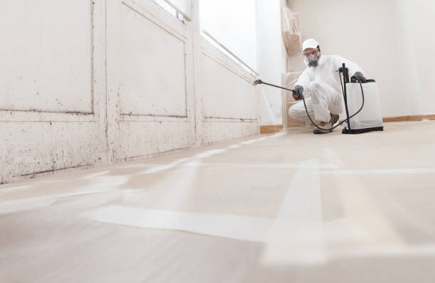 24/7 Emergency Commercial Mold Remediation experts in Lancaster, VA